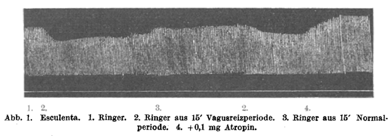 File:Loewi1921.png