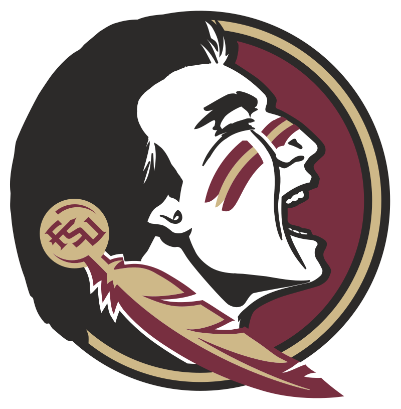 Florida State Seminoles Baseball  Florida state university football, Florida  state university, Florida state