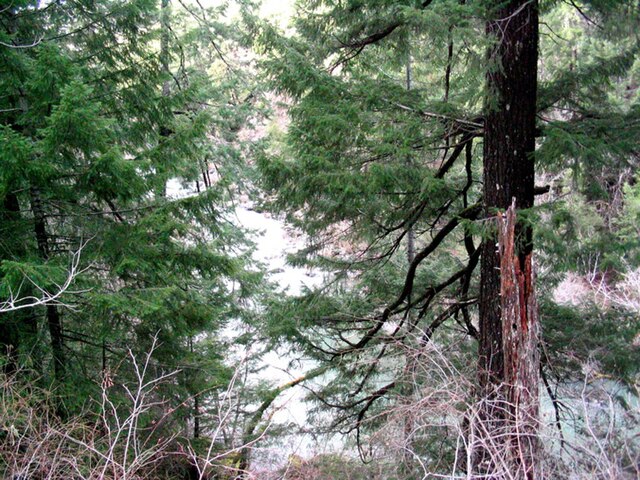 Grizzly Creek Redwoods State Park - Wikipedia