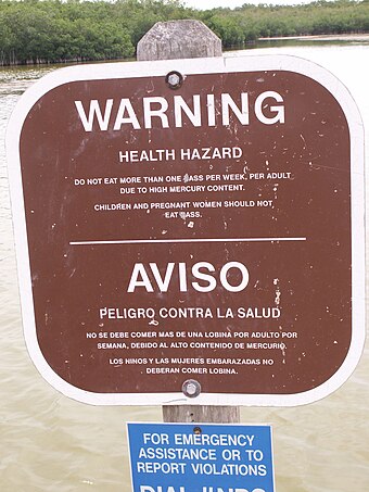 Warnings are placed in Everglades National Park to dissuade people from eating fish due to high mercury content. This warning explicitly mentions bass.
