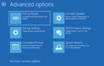 Thumbnail for File:Windows 11 Recovery Environment (WinRE).png