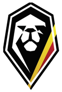 Belgium mens national basketball team national sports team