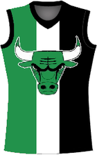 Since 1999 Guernsey for the Mount Barker (Bulls) Football Club.png