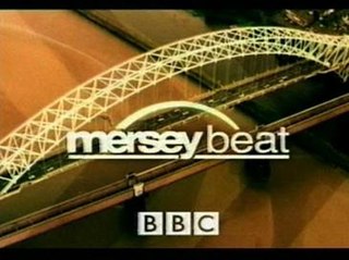 <i>Merseybeat</i> (TV series) British police procedural TV series (2001–2004)