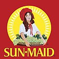 Brighter colors and a geometric sun modernizes the logo, with the brand’s name now printed in yellow, for a warmer, sunnier feel. This Sun-Maid Girl continues on packaging into the 21st century.