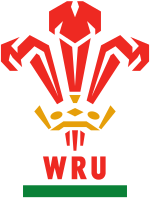 Current logo used by the Welsh Rugby Union. Welsh Rugby Union logo.svg