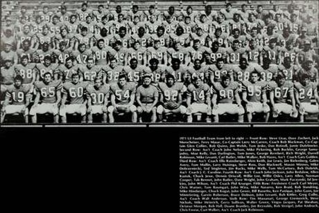 1971 Illinois Fighting Illini football team