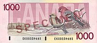 Birds of Canada $1000 banknote, reverse.jpg