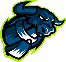 Team-Logo