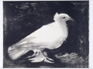 Litografia Dove por Picasso.jpg