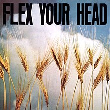 Flex Your Head - Wikipedia