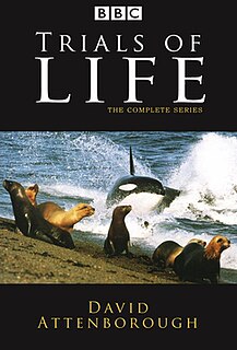 <i>The Trials of Life</i> BBC nature documentary series written and presented by David Attenborough