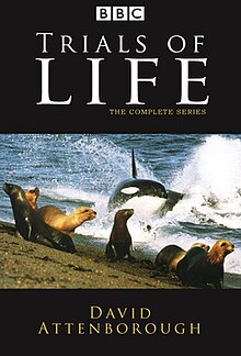 The Trials of Life DVD cover