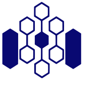 Индийски институт по информационни технологии, Raichur Logo.svg