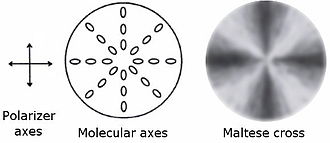 A schematic of Maltese cross formation MalteseCross1.jpg