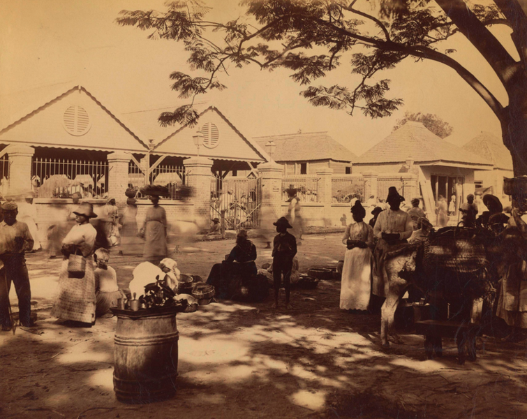 File:Valentine and Sons - Street View 3, Kingston, Jamaica, 1891.tiff