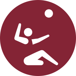 File:Volleyball, Tokyo 2020 (Paralympics).svg