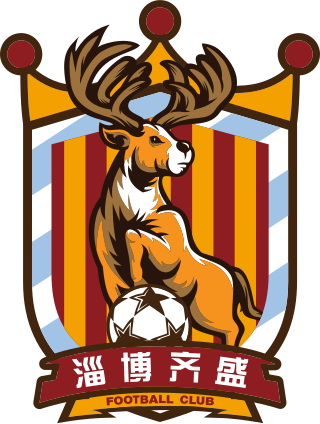 <span class="mw-page-title-main">Zibo Qisheng F.C.</span> Chinese football club