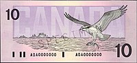 Birds of Canada $10 banknote, reverse.jpg