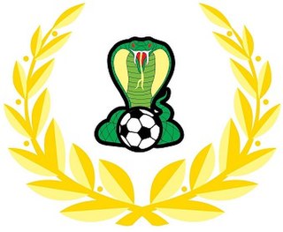 Adelaide Omonia Cobras FC Football club