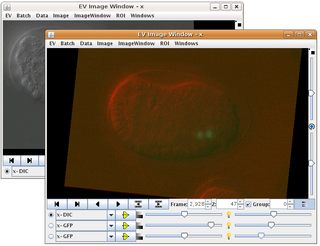 <span class="mw-page-title-main">Endrov</span> Image analysis and data processing software