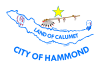 Bandeira de Hammond, Indiana