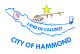 File:Flag of Hammond, IN.svg