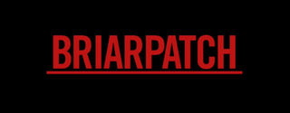 <i>Briarpatch</i> (TV series) American anthology series