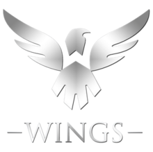 Wings Gaming.png