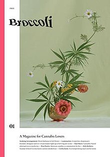 Brokolice Magazine Vydání 1 Cover.jpg