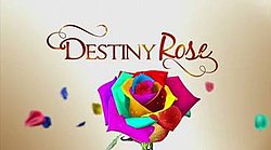 Титульная карточка Destiny Rose.jpg 