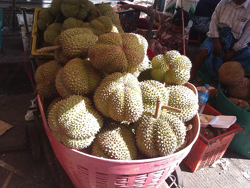 File:Mawlamyine durians.jpg