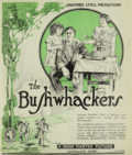 Thumbnail for The Bushwhackers (film)