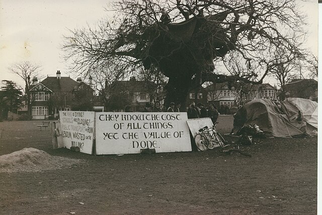 The chestnut tree on George Green, Wanstead became a focal point and a symbol for anti-M11 Link Road protesters.
