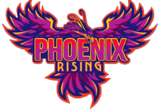 <span class="mw-page-title-main">Phoenix Rising (roller coaster)</span> Ride at Busch Gardens Tampa Bay