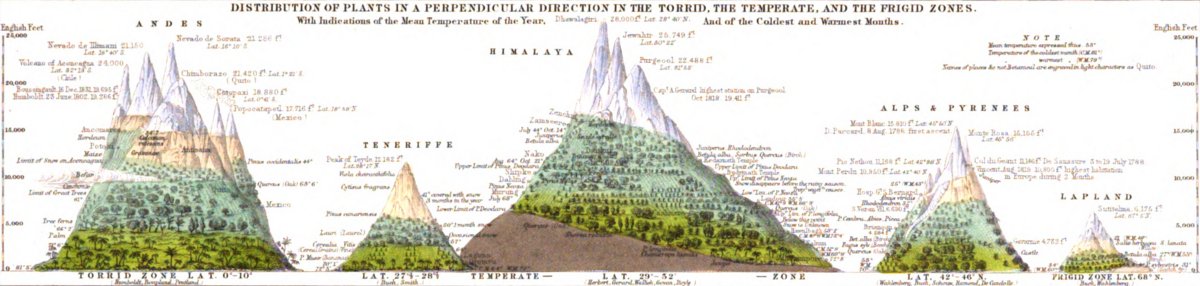This map of the "Distribution of Plants in a Perpendicular Direction in the Torrid, the Temperate, and the Frigid Zones" was first published 1848 in "The Physical Atlas". It shows tree lines of the Andes, Himalaya, Alps and Pyrenees.