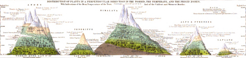 File:Distribution of Plants in a Perpendicular Direction in the Torrid, the Temperate, and the Rigid Zones 1848 Alexander Keith Johnston.png