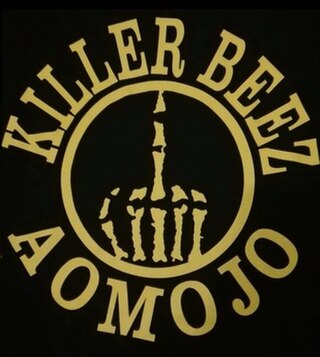 <span class="mw-page-title-main">Killer Beez</span> New Zealand crime gang