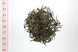 <span class="mw-page-title-main">Xinyang Maojian tea</span> Chinese green tea