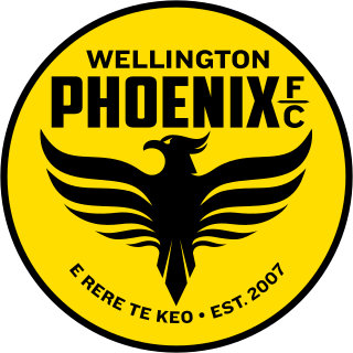 Wellington Phoenix FC Association football club based in New Zealand