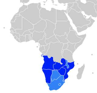 <span class="mw-page-title-main">1998 COSAFA Cup</span> International football competition