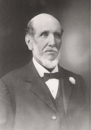 <span class="mw-page-title-main">John Scholey</span> Australian businessman