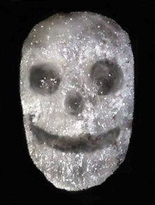 Spiritus Callidus #2 (Crystal Skull) by John Lekay, 1993, paradichlorobenzene LeKaySpiritus2.jpg