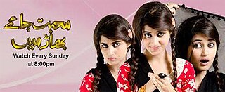 <i>Mohabbat Jaye Bhar Mein</i> Television series