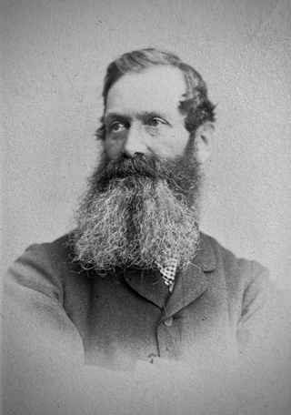 <span class="mw-page-title-main">William Henry Lowe</span> Scottish physician and amateur botanist