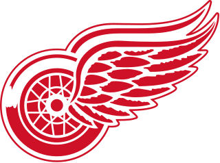 Detroit Red Wings hockey team of the National Hockey League