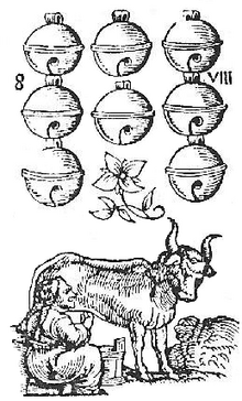 Bull Semen Milking