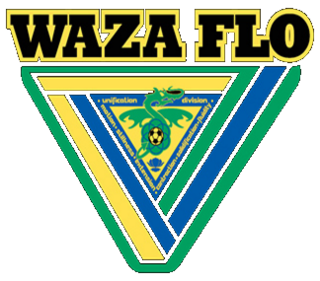 Waza Flo Indoor soccer team