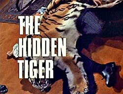 "The Hidden Tiger".jpg