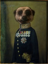 The "Aleksandr Orlov" meerkat character used in the company's advertising since 2009. AleksandrOrlovmeerkat.jpg